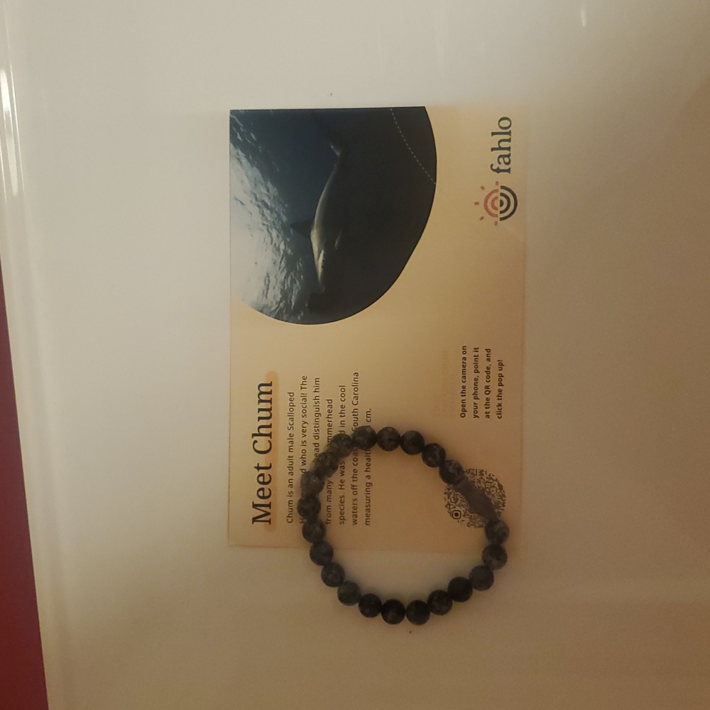 Shark Adoption/Tracking Bracelet